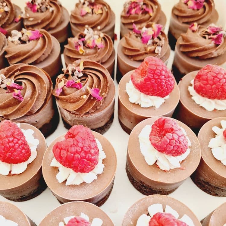 Feature image for From the Wild