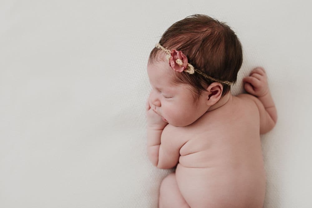 Feature image for Pebble and Vine Photography